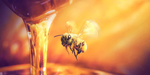 Bienfaits Incroyables du Miel pour la Santé