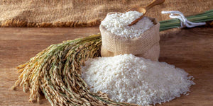 Est-ce que le riz fait grossir ? Tout ce que vous devez savoir