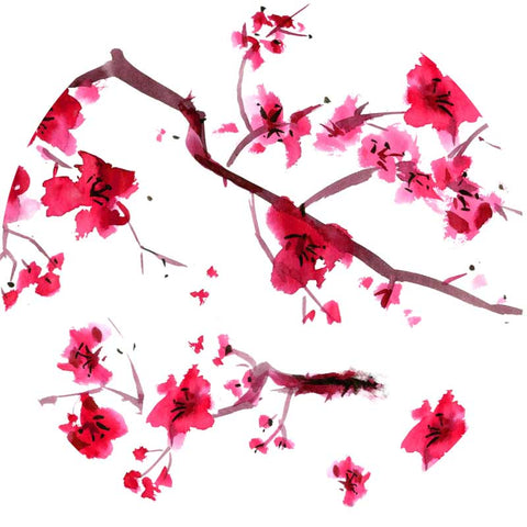 Théière Verre Infuseur EVE Thé Cherry Blossom